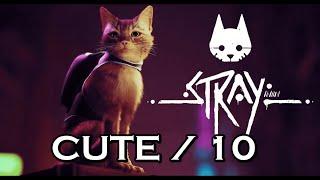 Stray Is Almost Purrfect