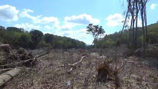 Hurricane Helene & Nolichucky Flood Wipe out 100 year Forest & Island | The before & after.