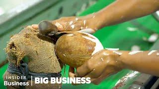 Why Coconut Farmers Risk Their Lives To Feed The World's Superfood Obsession | Big Business