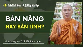 Phật Pháp Giác Ngộ - Tức Giận Là BẢN NĂNG Tĩnh Lặng Mới Là BẢN LĨNH | Thầy Minh Niệm