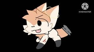 Roxan The Fennec Fox Ievan Polkka