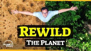 Introducing Planet Wild