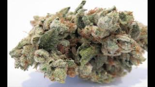Best OG Kush Medical Marijuana Pictures #1 HD!