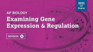 2021 Live Review 5 | AP Biology | Examining Gene Expression & Regulation