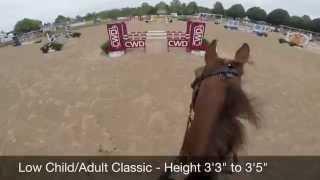 Hailey Royce and Rapidash - Low Children’s Classic GoPro at Spring Spectacular 2014