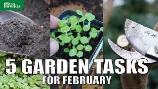 5 Gardening Jobs for FEBRUARY (+ tips!)