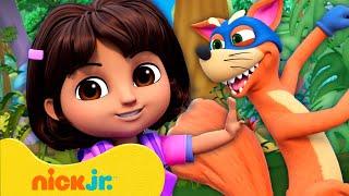 Dora | ¡Los Robos Más Astutos de Swiper!  #2 | 20 Minutos | Nick Jr. en Español