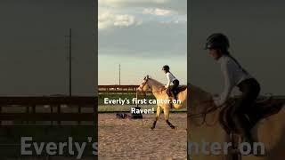 First canter on her! #canter #equestrian #horses