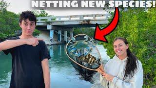 Netting at HIDDEN Abandoned Bridge!