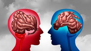 Study: Conservative Have Different Brain Structures