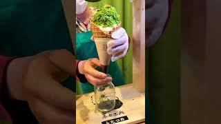 Viral Tokyo dessert: Honest review of the matcha Mont Blanc from Chacha Futatsume in Asakusa!