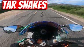 How To Ride A Motorcycle: Tar Snakes