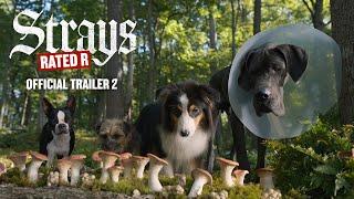 Strays | Official Trailer | IPIC Theaters