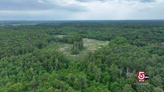 What it means to 're-wild' forests in New England