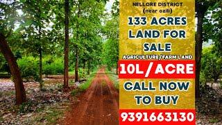 133 acres land for sale in andhrapradesh | land for sale in nellore district