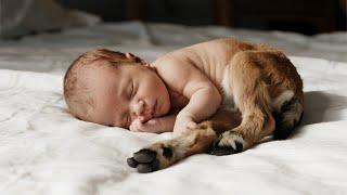 Sự thật ghê rợn: Vì hành động t.àn nh.ẫn với bà lão, đứa con sinh ra với thân thể nửa thú