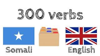 300 verbs + Reading and listening: - Somali + English - (native speaker)