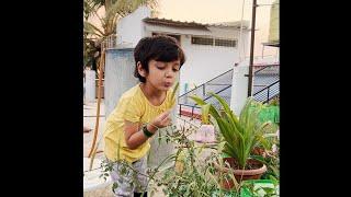 4 year old and her garden | Home Garden Part 2 | ft. Rutvika