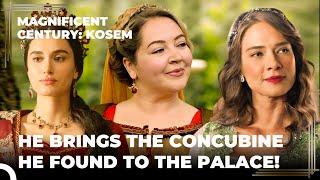 Ibrahim Can't Get Enough Concubines | Magnificent Century Kosem