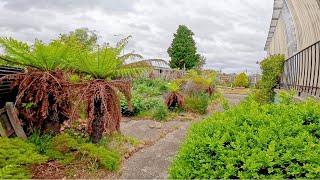 Tenants Create Garden NIGHTMARE (But we made the LANDLORD SMILE)!