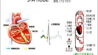 道教練氣方術與道家養氣息補之差異