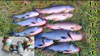 Fishing Bait Video | Only 100 Rupees | Very Big Fishes Catching |  Working | All Season work