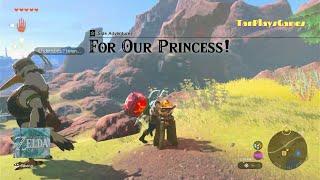 For Our Princess! : Zelda Tears Of The Kingdom.