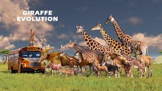 Giraffe Evolution | Giraffe Size Comparison: Living and Extinct | Prehistoric Giraffes