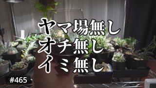 vlog: 465 「ヤマ場無しオチ無し意味無しのvlog | 植物育成ラックメンテナンス」