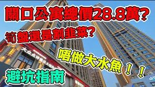 【灣區指南】關口物業總價只需28.8萬？ 筍盤還是騙局？ 珠海置業避坑指南  拒絕做水魚！！