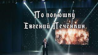 Евгений Печёнкин - По полюшку ( Живой звук)