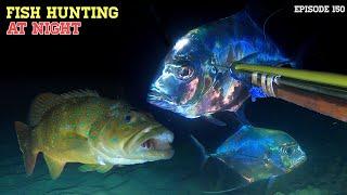 NIGHT SPEARFISHING EPISODE 150 | FISH HUNTING AT NIGHT