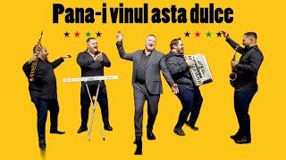 Dumitru Teleaga Meka & Artist Band - Pana-i vinul asta dulce || Cover Saban Bajramovic Akaja Rat