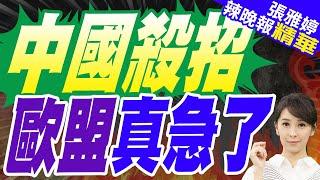 蔡正元揭背後經濟博弈目的? | 中國擴大對歐盟乳製品反補貼調查 納入法義荷等國【張雅婷辣晚報】精華版@中天新聞CtiNews