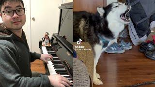 Piano Duet with a Husky singing a Grand Concerto