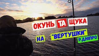 щука окунь на вертушку #спінінг #щука #окунь