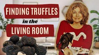 How to teach your dog to find truffles indoors