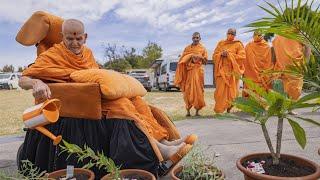 Mahant Swami Maharaj Darshan 05-03-2025 Wednesday Sydney Jai Swaminarayan,Subscribe Now Rajipo.