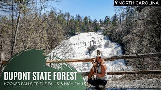 Dupont State Forest | Western North Carolina (After Rainstorm)