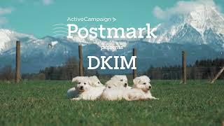 What is DKIM? DomainKeys Identified Mail explained (in under 4 minutes)