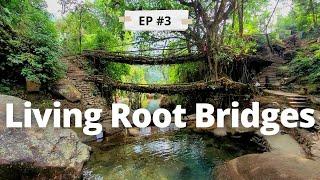 Meghalaya EP-3 | Living Root Bridge Trek  | Nohkalikai Falls | Beautiful INDIA