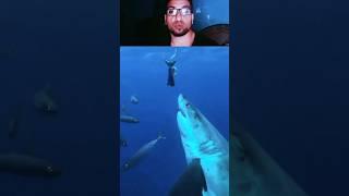 sharks attack you anywhere anytime #sharks #sealovers #sealife