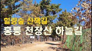 회기동 천장산 하늘길 산책로