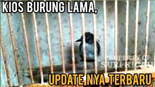 kios burung lama, update nya terbaru!