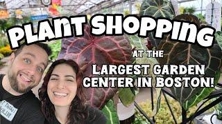 THIS GREENHOUSE IS HUGE!!  Mahoney's Garden Center in Winchester, Massachusetts  plant shopping