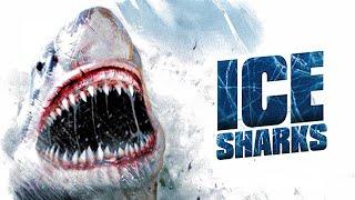 Ice Sharks - Death has razor-sharp teeth (Shark movie | Action movie | full movie)