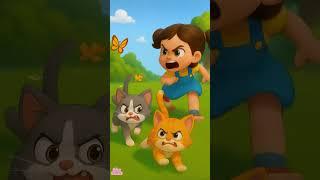 Why is Cat being chased by Luna Belle?#CatChase #LunaBelle #funny #shorts