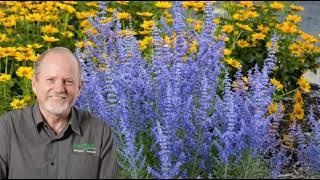 Neutrog TV | How to drought-proof your garden + Seamungus