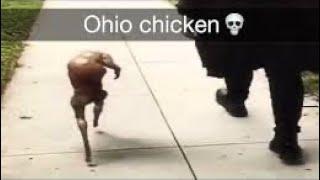 Top tier Ohio memes 