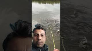 amazing fishing #reels #technology #viralvideo #trending #youtubeshorts #ytshorts #shorts #technic